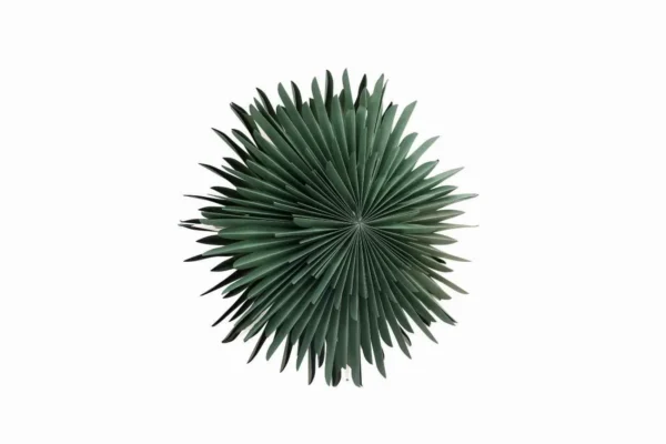 Sälen Julbelysning - Produktbild - Bild 3