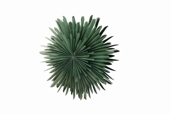 Sälen Julbelysning - Produktbild - Bild 2