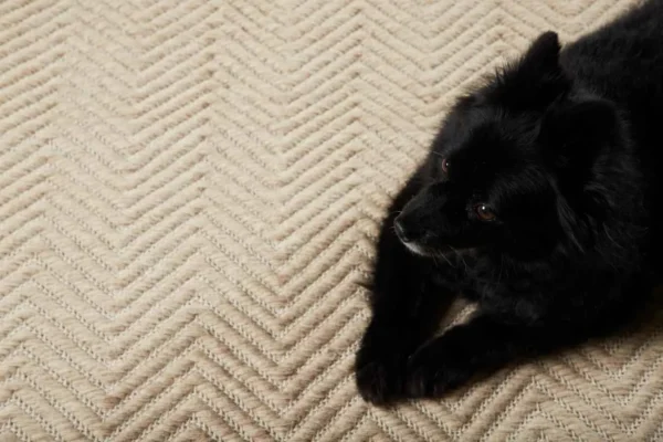 Loke Vardagsrumsmatta - Miljöbild - Bild 4