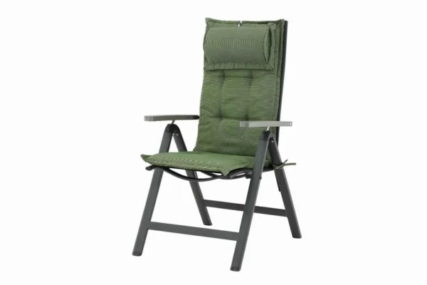 Olive Dyna - Produktbild - Bild 2