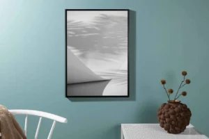 Papyrus Poster - Miljöbild - Överblick