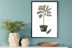 Olive Poster - Miljöbild - Överblick