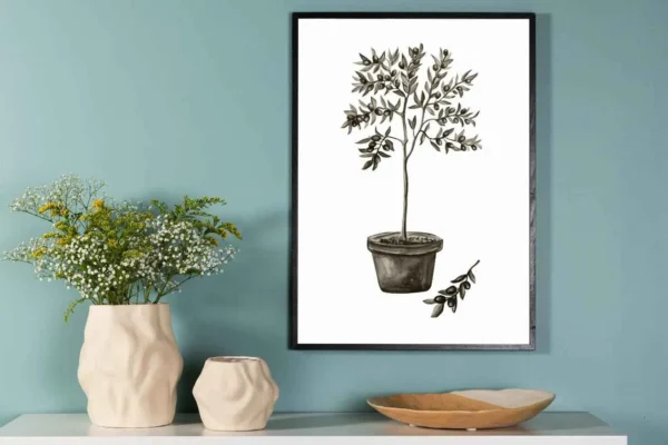 Olive Poster - Miljöbild - Överblick