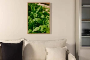 Gree leaf Poster - Miljöbild - Överblick