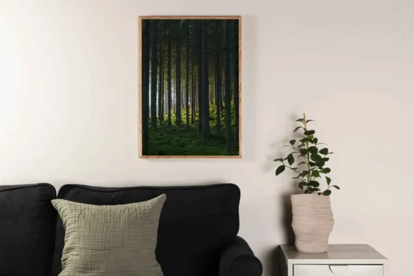 Woods Poster - Miljöbild - Överblick