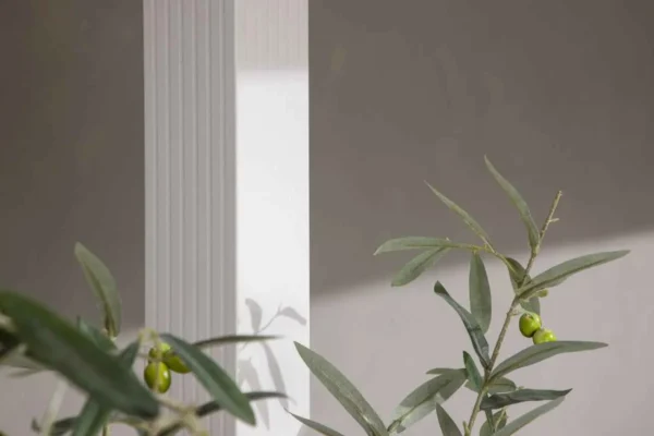 Lazio Pergola - Miljöbild - Bild 1